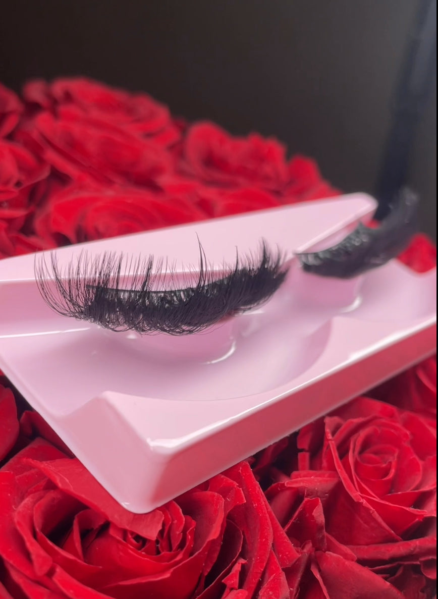 Amor Strip Lash